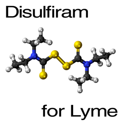 Disulfiram for Lyme
